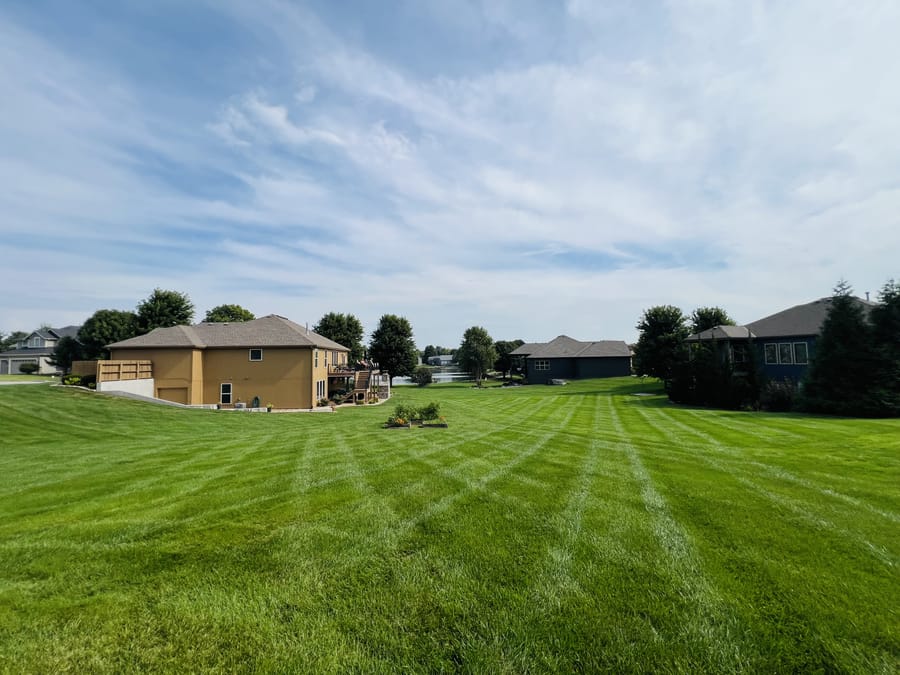 A large backyard lawn mowed in a crosshatch pattern, with a pond and neighboring homes in the background.
